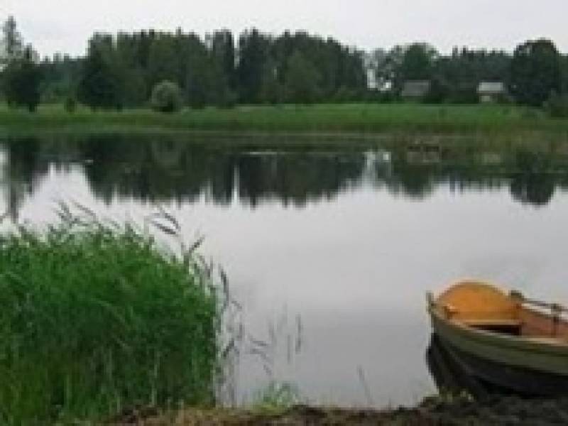 Avotiņi